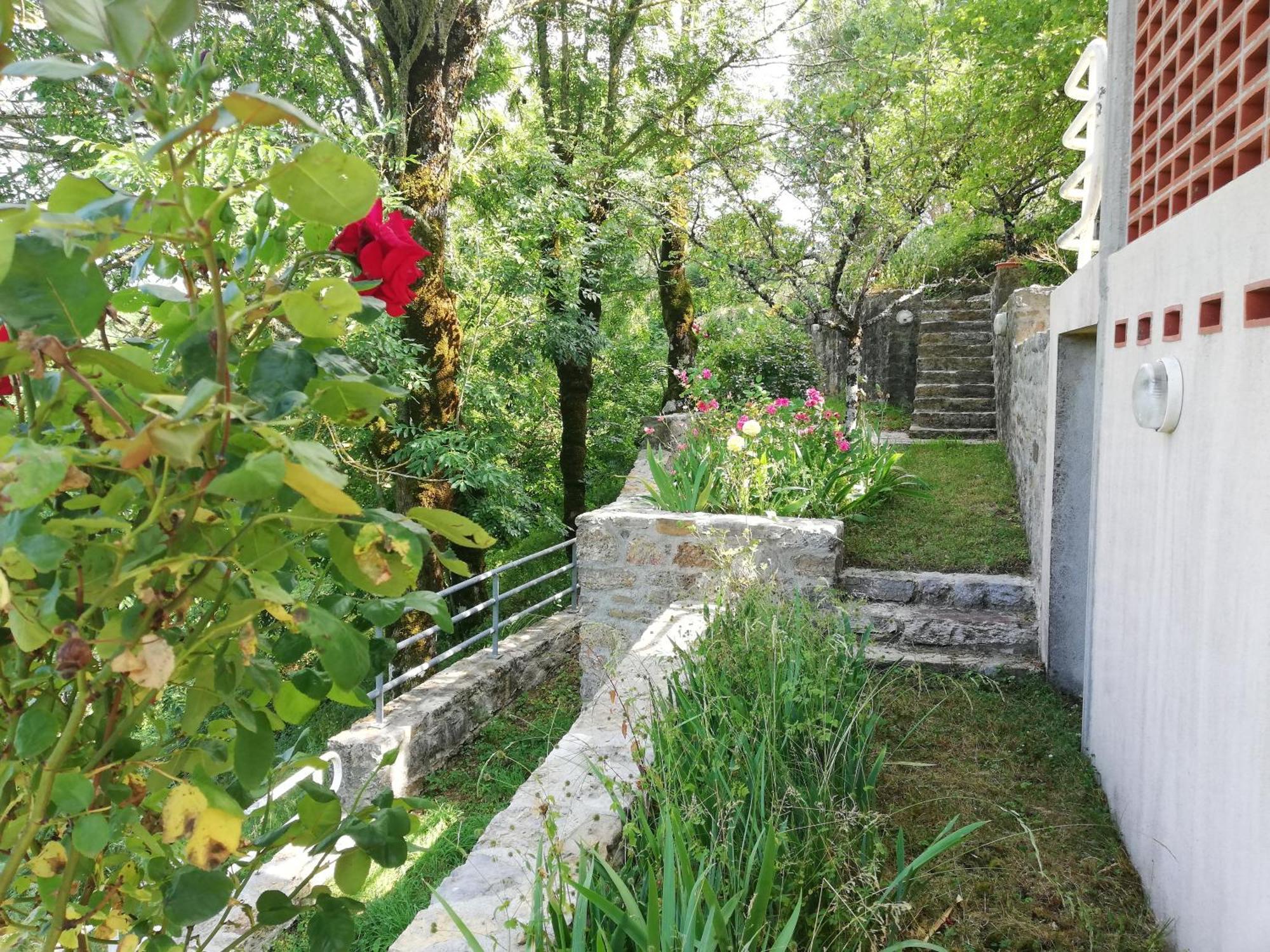 Domaine Des Goudis *